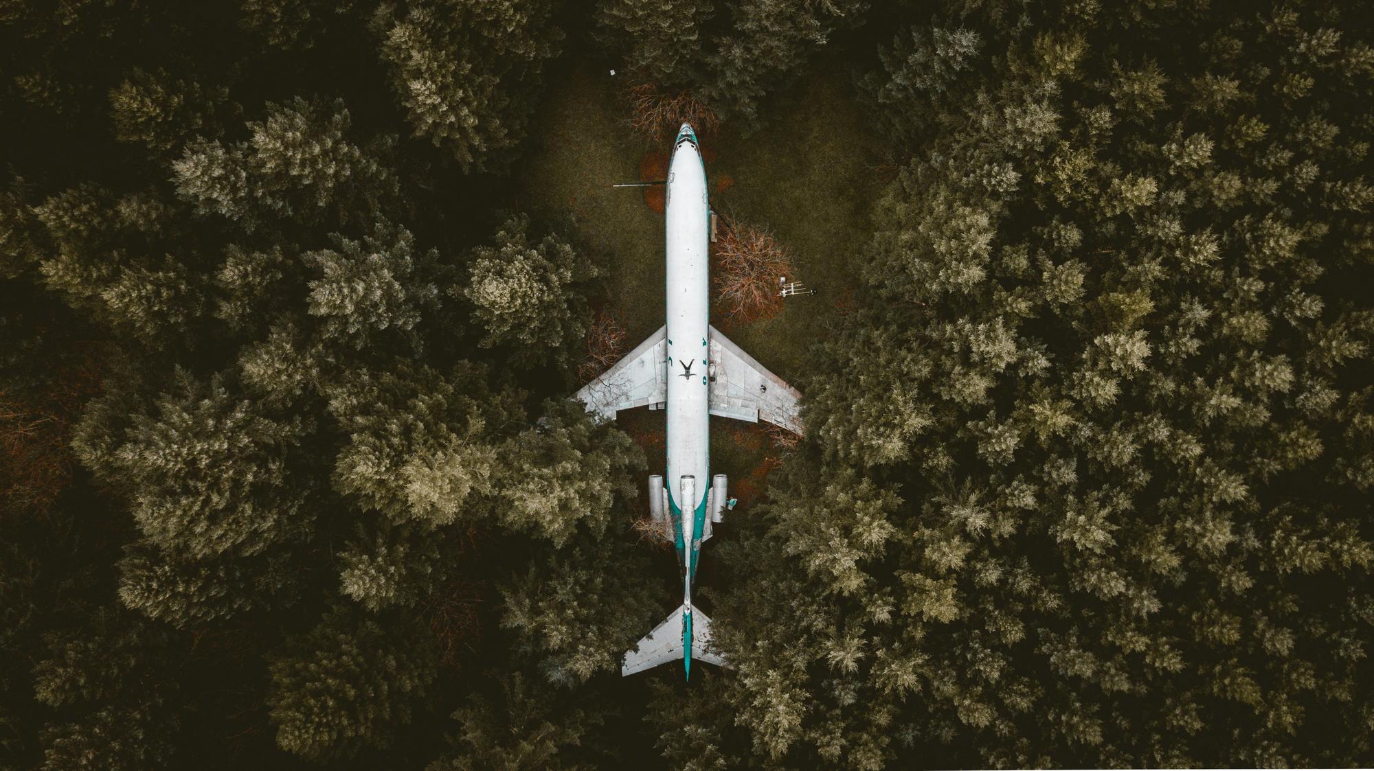 Rewilding plane
